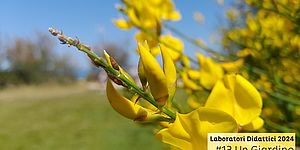 Laboratorio #13 Un giardino sul mare