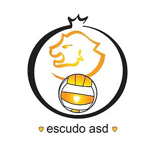 logo escudo volley