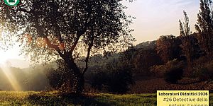 Locandina di Detective della Natura: il viaggio dei semi