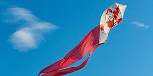 Oliviero Fiorenzi per Pesaro 2024