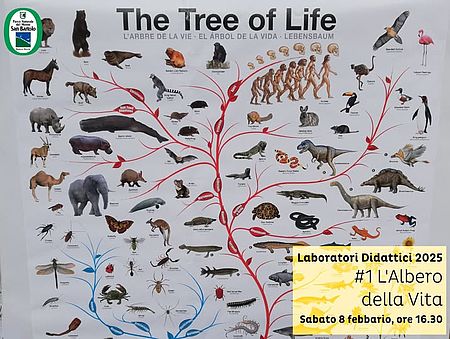Locandina con immagine albero della vita