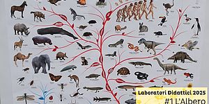 Locandina con immagine albero della vita