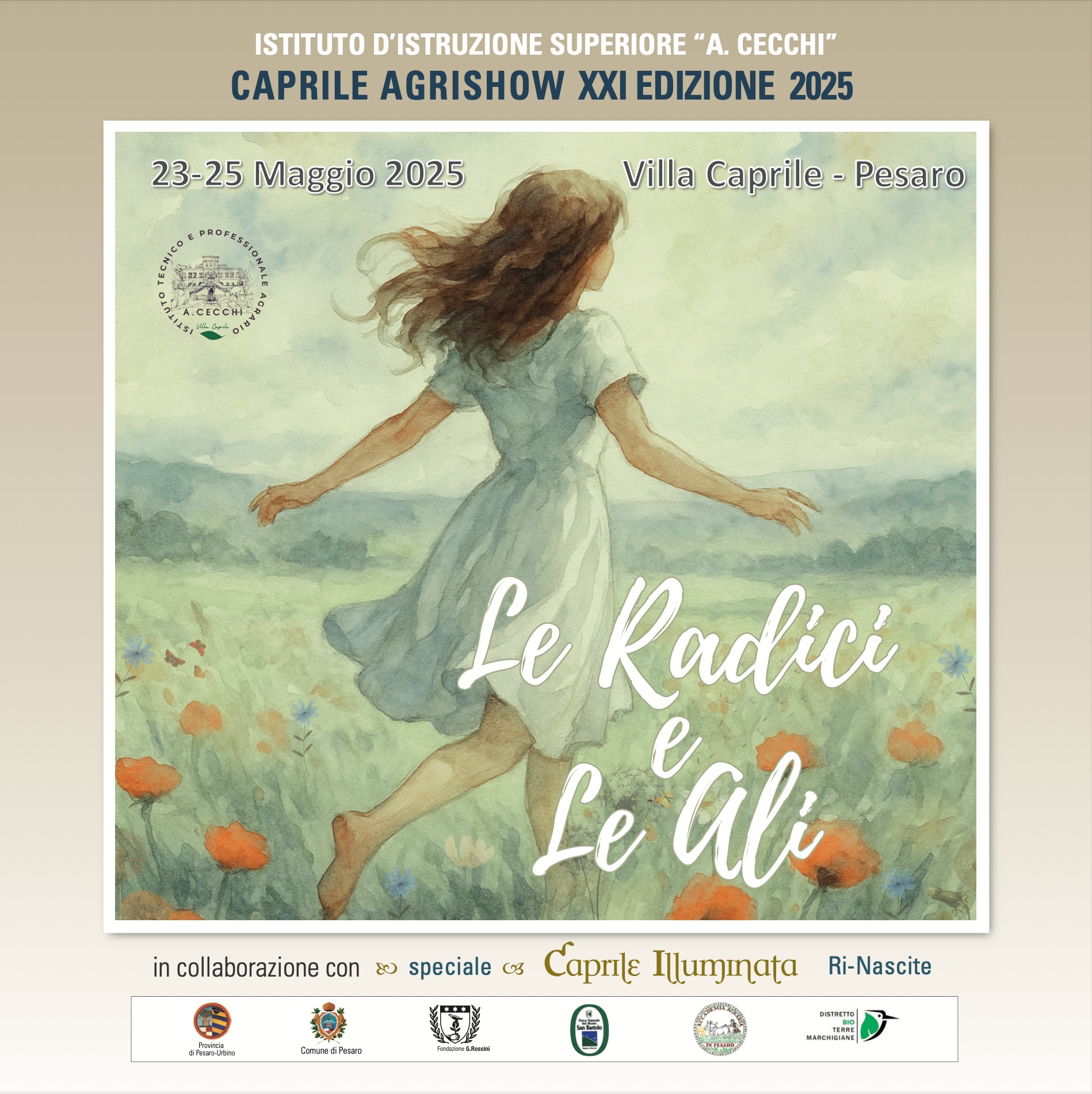 locandina di Le radici e le ali 