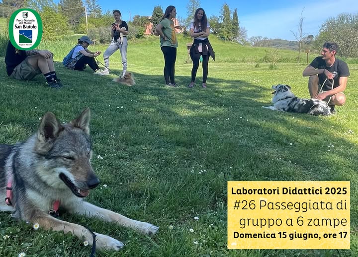 Locandina di Passeggiata di gruppo a 6 zampe