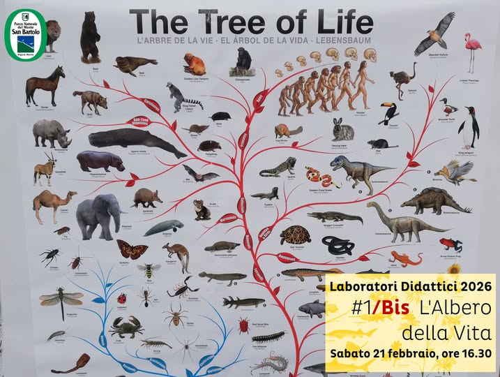 Immagine de L'albero della Vita (bis)