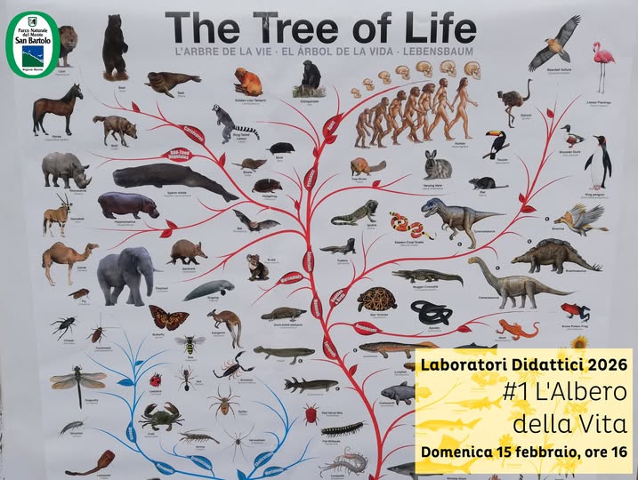 Immagine di L'albero della vita