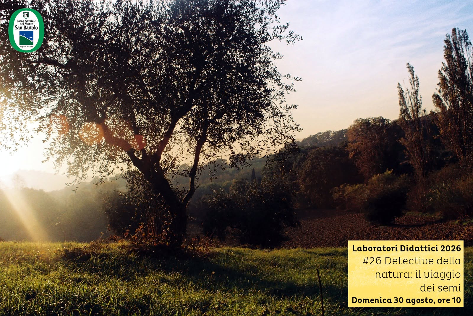 Locandina di Detective della Natura: il viaggio dei semi