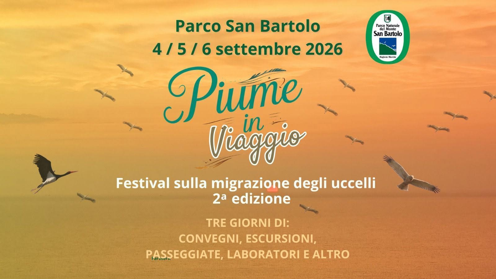 Locandina di Piume in viaggio