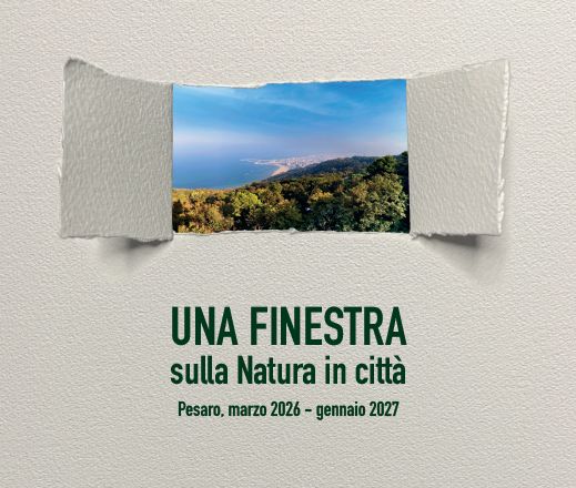 Una finestra sulla Natura in città