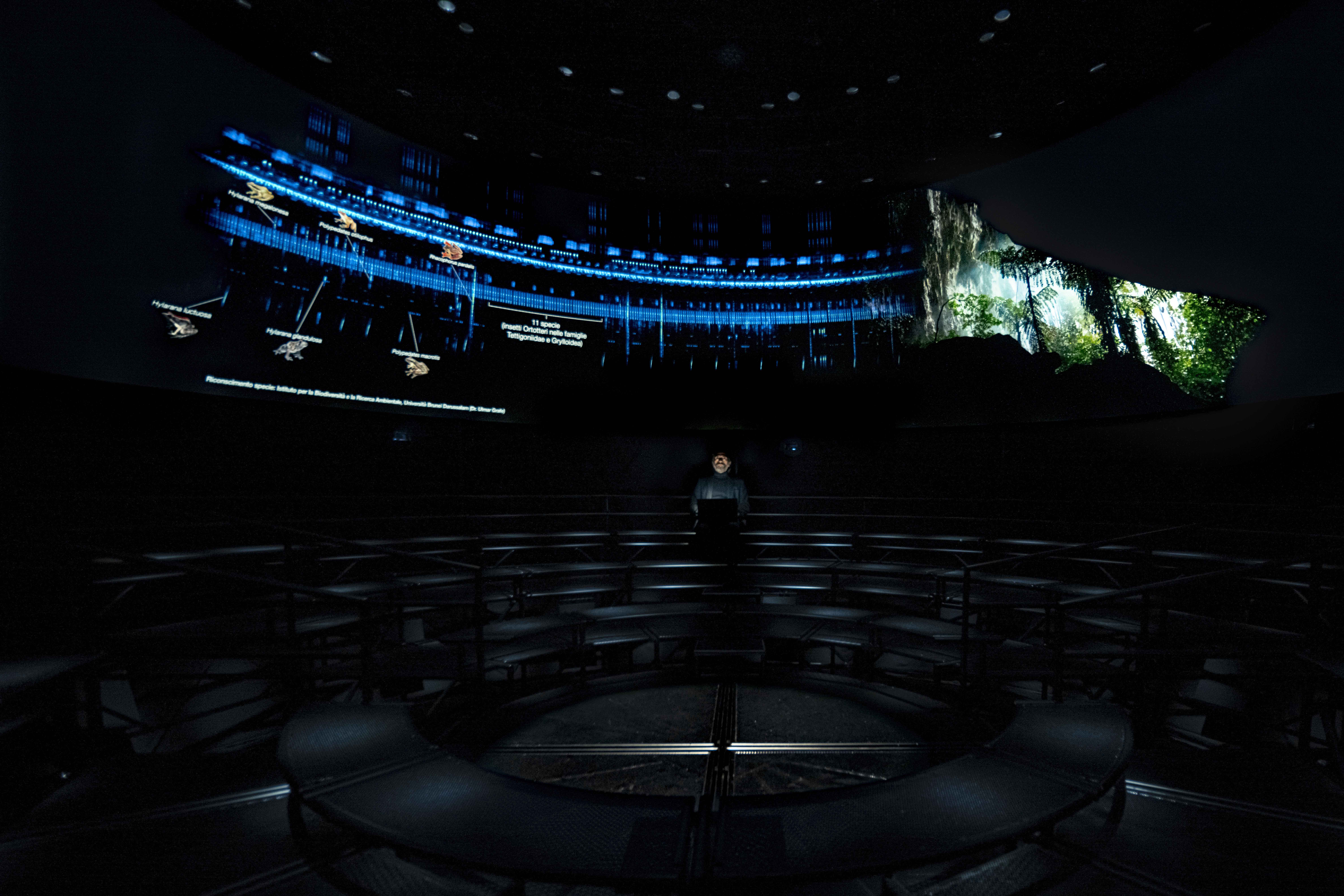 Sonosfera®  ph copyrigth_Alexdemilia