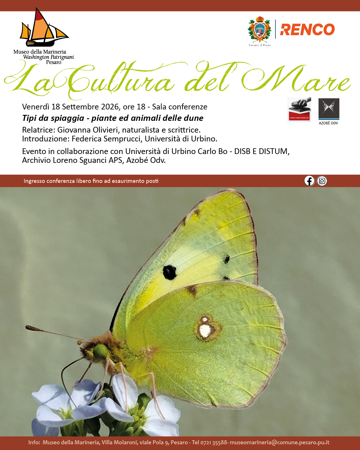 Tipi da spiaggia - piante ed animali delle dune