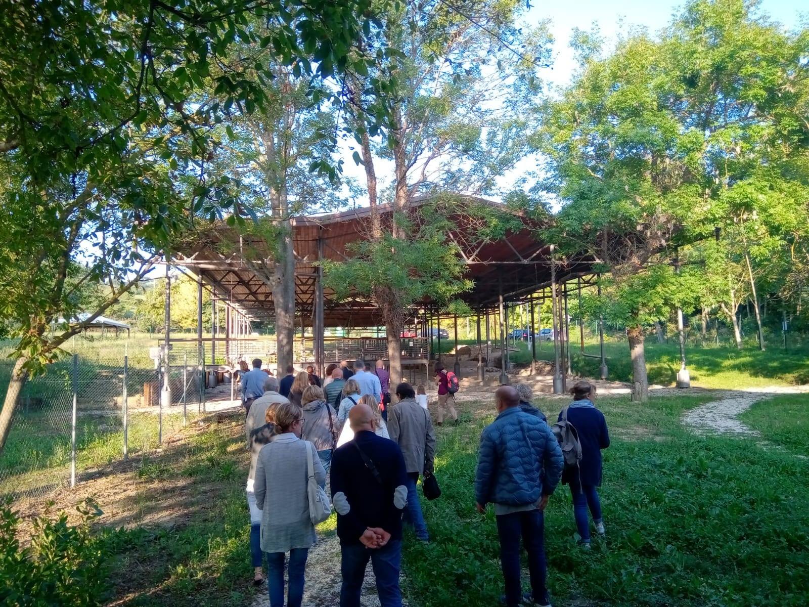 Area archeologica di Colombarone