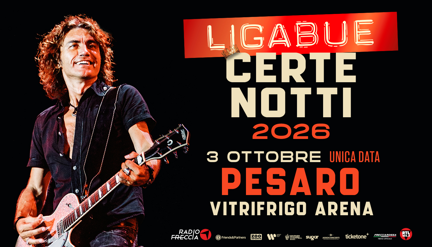 Immagine Concerto di Ligabue