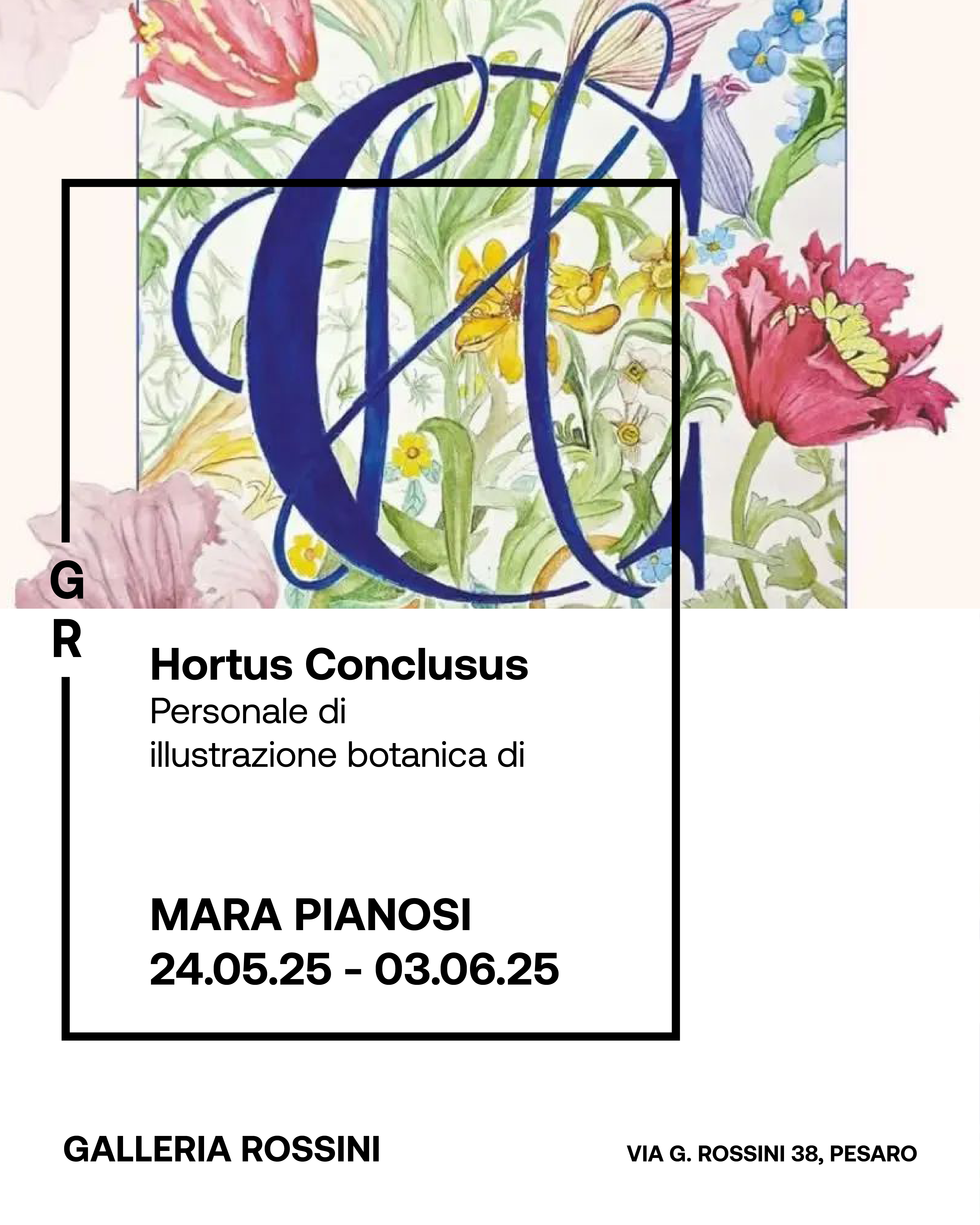 Grafica mostra