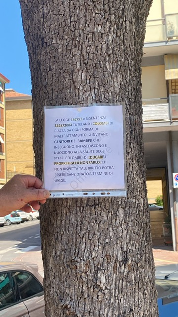 Cartello per piccioni